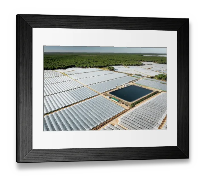 Framed Print : Aerial view of commercial strawberry farms and artificial pond stealing water from Donana wetlands. Andalusia, Spain. November, 2023 Framed Print : Aerial view of commercial strawberry farms and artificial pond stealing water from Donana wetlands. Andalusia, Spain. November, 2023