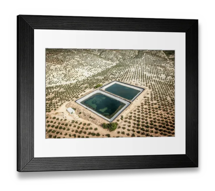 Framed Print : Artificial water ponds (dangerous for wildlife) among intensive olive tree plantations, Jaen district, southern Spain. October, 2023 Framed Print : Artificial water ponds (dangerous for wildlife) among intensive olive tree plantations, Jaen district, southern Spain. October, 2023