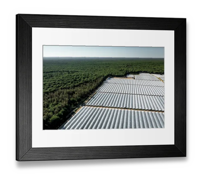 Framed Print : Aerial view of commercial strawberry farm stealing water from Donana wetlands. Andalusia, Spain. November, 2023 Framed Print : Aerial view of commercial strawberry farm stealing water from Donana wetlands. Andalusia, Spain. November, 2023