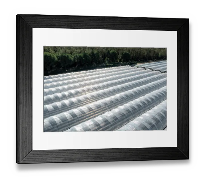 Framed Print : Aerial view of strawberry farms stealing water from Donana wetlands, Andalusia, Spain. November, 2023