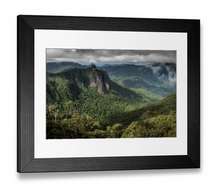 Framed Print : Mountain rainforest under low cloud, Marojejy National Park, Madagascar. April, 2018 Framed Print : Mountain rainforest under low cloud, Marojejy National Park, Madagascar. April, 2018