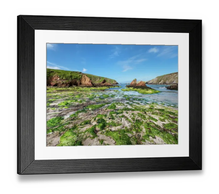 Framed Print : The Cooss bay at low tide, Muckle Sound, Southern Mainland, Shetland, Scotland, UK. July, 2017 Framed Print : The Cooss bay at low tide, Muckle Sound, Southern Mainland, Shetland, Scotland, UK. July, 2017