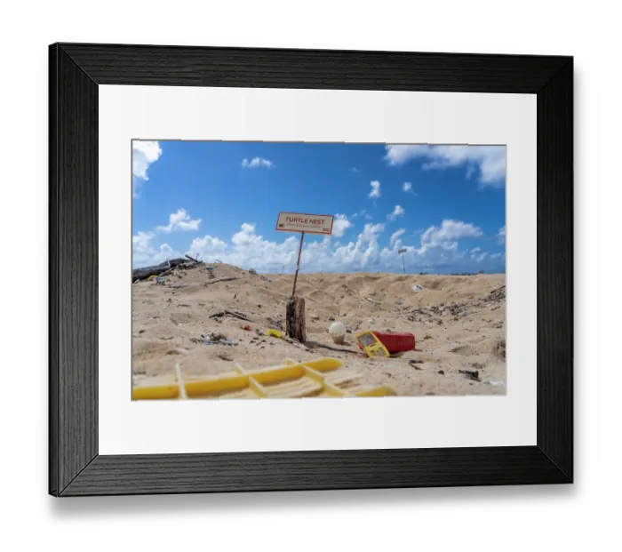 Framed Print : Sea turtle nesting sign on beach, part of a monitoring program of Sea Turtle Conservation Curacao, surrounded with plastic, Klein Curacao, Dutch Caribbean. December, 2023 Framed Print : Sea turtle nesting sign on beach, part of a monitoring program of Sea Turtle Conservation Curacao, surrounded with plastic, Klein Curacao, Dutch Caribbean. December, 2023