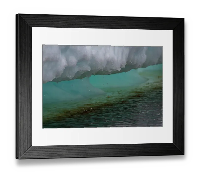 Framed Print : Water droplets dripping from melting sea ice, Hudson Bay near Churchill, Manitoba, Canada. June, 2024 Framed Print : Water droplets dripping from melting sea ice, Hudson Bay near Churchill, Manitoba, Canada. June, 2024