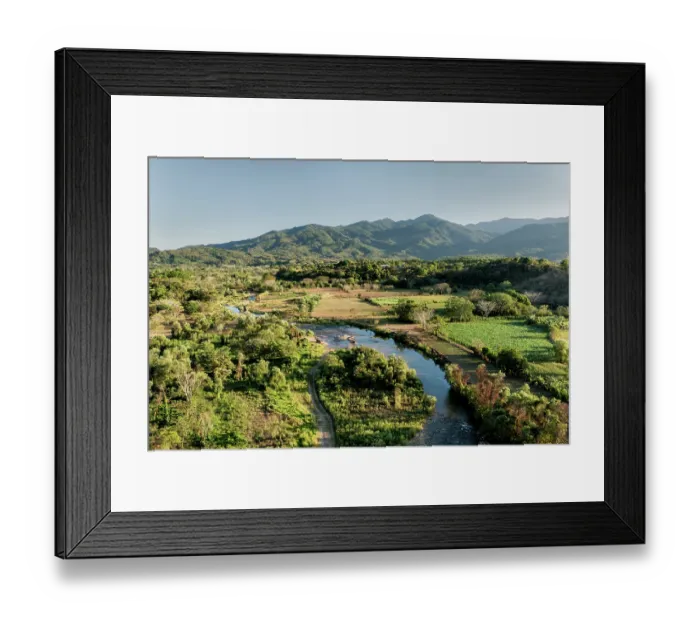 Framed Print : Wintering habitat of Yellow-breasted chats (Icteria virens) near Asuncion Atoyaquillo, Oaxaca state, Mexico. February, 2024 Framed Print : Wintering habitat of Yellow-breasted chats (Icteria virens) near Asuncion Atoyaquillo, Oaxaca state, Mexico. February, 2024