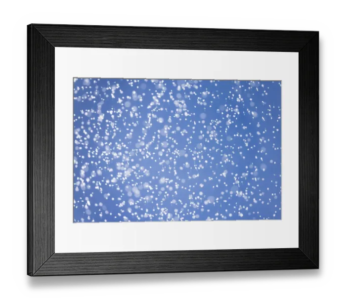Framed Print : Swarming insects, near Asuncion Atoyaquillo, Oaxaca state, Mexico