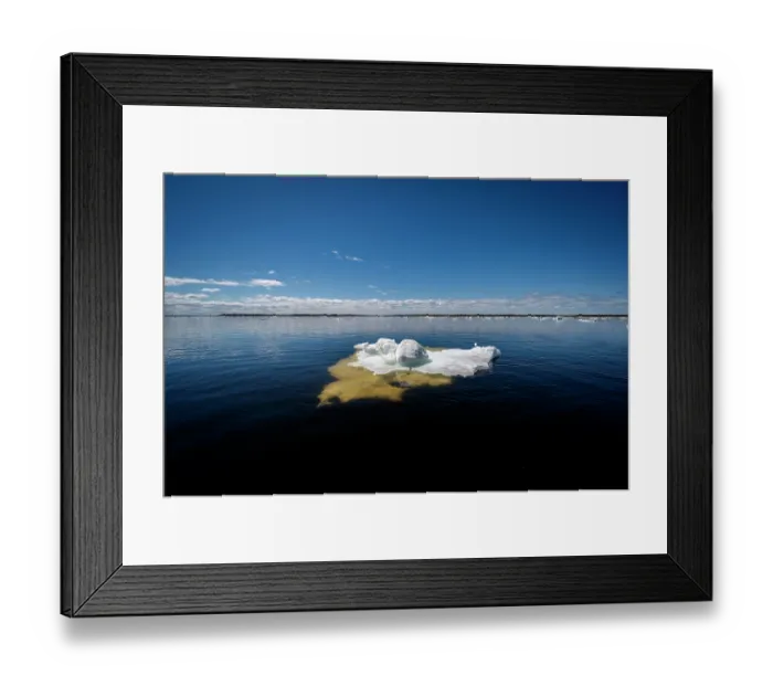 Framed Print : Sea ice breaking up and melting in spring, Hudson Bay near Churchill, Manitoba, Canada. June, 2024 Framed Print : Sea ice breaking up and melting in spring, Hudson Bay near Churchill, Manitoba, Canada. June, 2024