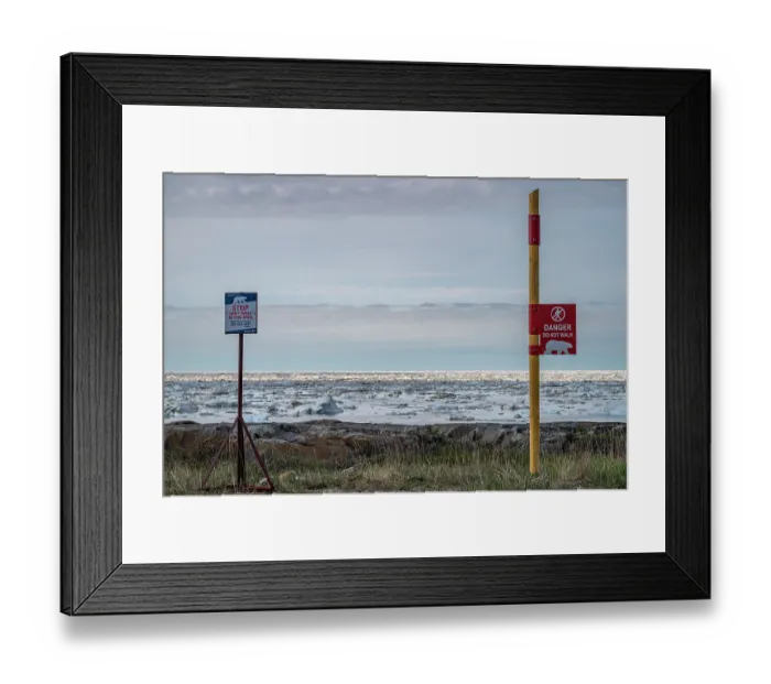 Framed Print : Signs posts warning tourists of polar bears near the seafront, Churchill, Manitoba, Canada. June, 2024 Framed Print : Signs posts warning tourists of polar bears near the seafront, Churchill, Manitoba, Canada. June, 2024