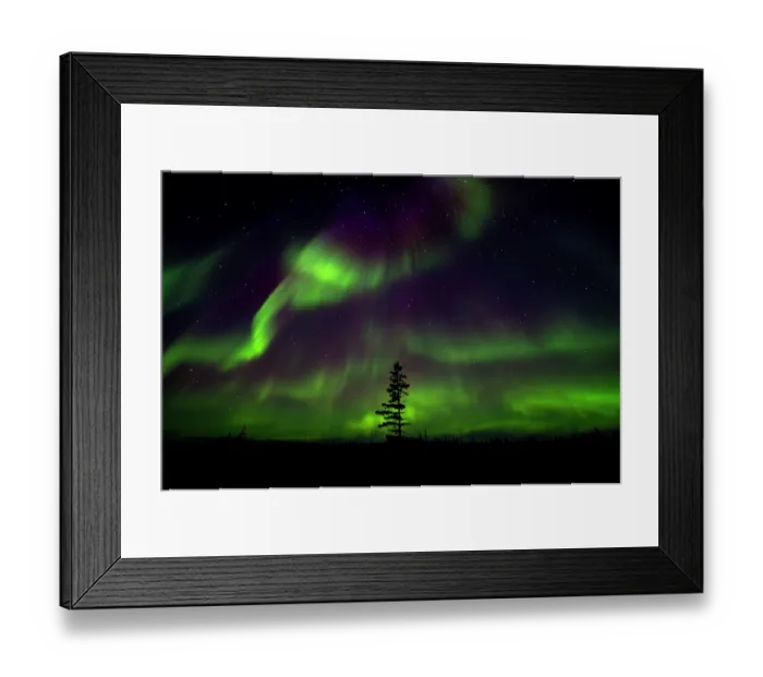 Framed Print : Aurora borealis lighting up the night sky above the tundra, near Churchill, Manitoba, Canada. August, 2024 Framed Print : Aurora borealis lighting up the night sky above the tundra, near Churchill, Manitoba, Canada. August, 2024