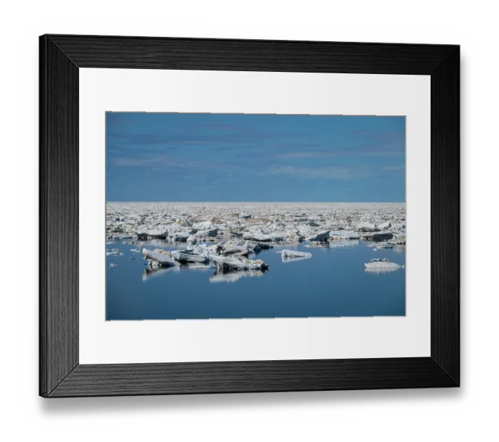 Framed Print : RF - Sea ice breaking up and melting in the spring, Hudson Bay near Churchill, Manitoba, Canada. June, 2024. (This image may be licensed either as rights managed or royalty free.) Framed Print : RF - Sea ice breaking up and melting in the spring, Hudson Bay near Churchill, Manitoba, Canada. June, 2024. (This image may be licensed either as rights managed or royalty free.)