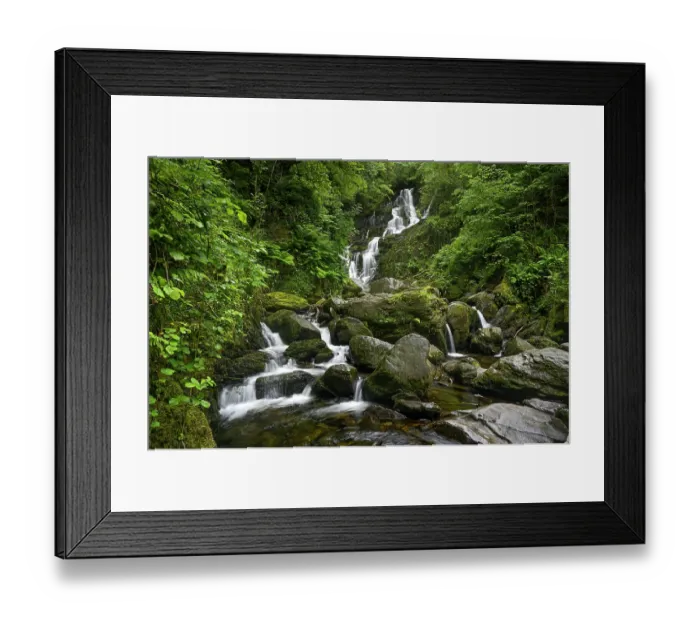 Framed Print : Torc Waterfall, Killarney National Park, Iveragh peninsula, County Kerry, Republic of Ireland. June, 2022 Framed Print : Torc Waterfall, Killarney National Park, Iveragh peninsula, County Kerry, Republic of Ireland. June, 2022