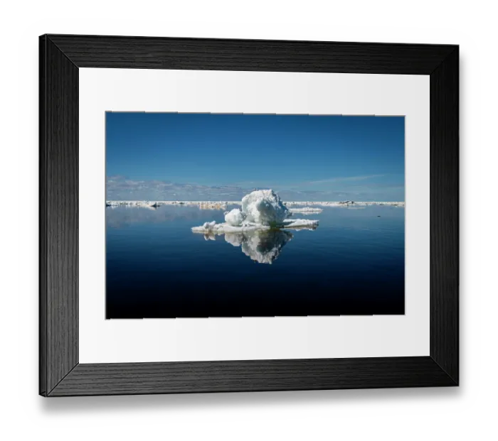 Framed Print : RF - Sea ice breaking up and melting in the spring, Hudson Bay near Churchill, Manitoba, Canada. June, 2024. (This image may be licensed either as rights managed or royalty free.) Framed Print : RF - Sea ice breaking up and melting in the spring, Hudson Bay near Churchill, Manitoba, Canada. June, 2024. (This image may be licensed either as rights managed or royalty free.)