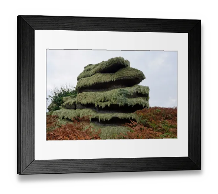 Framed Print : Granite boulder encrusted with lichens, Gugh, St Agnes, Isles of Scilly, UK. September, 2024 Framed Print : Granite boulder encrusted with lichens, Gugh, St Agnes, Isles of Scilly, UK. September, 2024