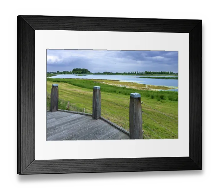 Framed Print : Sophiapolder nature reserve and refuge for water birds near Oostburg, Zeeland, Netherlands. June, 2024 Framed Print : Sophiapolder nature reserve and refuge for water birds near Oostburg, Zeeland, Netherlands. June, 2024
