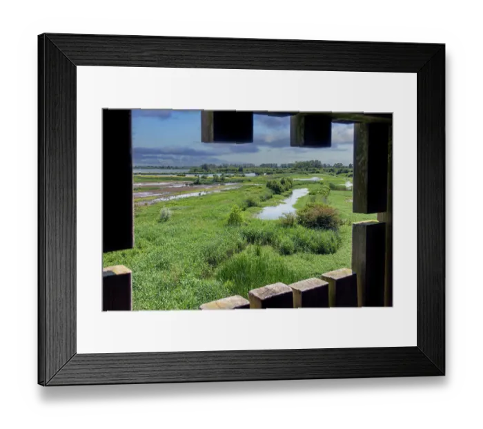 Framed Print : View from looking out from bird hide over De Blankaart nature reserve, freshwater marshland and bird sanctuary, near Dixmude, West Flanders, Belgium. June, 2024 Framed Print : View from looking out from bird hide over De Blankaart nature reserve, freshwater marshland and bird sanctuary, near Dixmude, West Flanders, Belgium. June, 2024