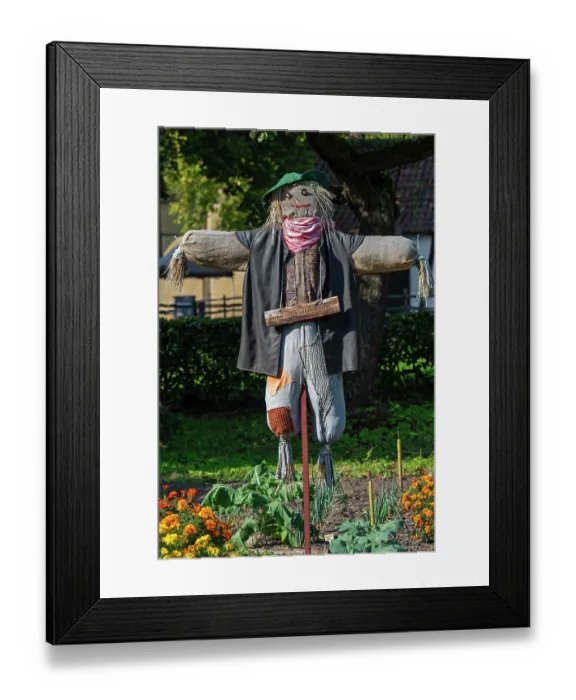 Framed Print : Scarecrow / bird scarer dressed in old clothes and placed in vegetable garden to deter birds from feeding on the vegetables Framed Print : Scarecrow / bird scarer dressed in old clothes and placed in vegetable garden to deter birds from feeding on the vegetables