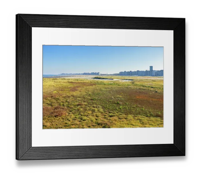 Framed Print : View of beach, dunes, mudflats and salt marsh, Heist's Bay nature reserve, Knokke-Heist, West-Flanders, Belgium. October, 2024