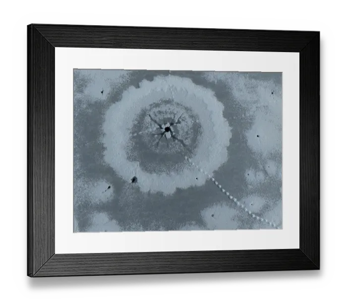 Framed Print : Eurasian otter (Lutra lutra) tracks on frozen pond with hole in ice made by the otter, Germany. January Framed Print : Eurasian otter (Lutra lutra) tracks on frozen pond with hole in ice made by the otter, Germany. January