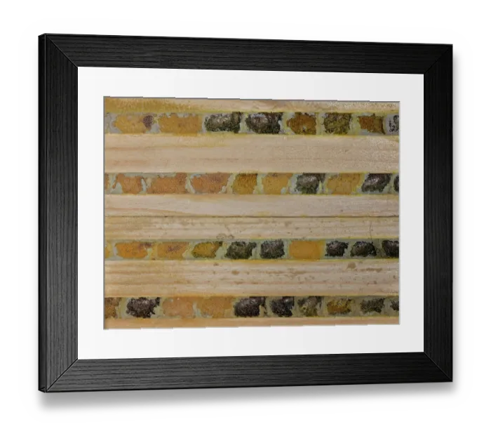 Framed Print : Red mason bee (Osmia bicornis) nest cells packed with pollen for developing larvae, some already pupated, sealed with mud in an insect hotel, Wiltshire, England, UK. November