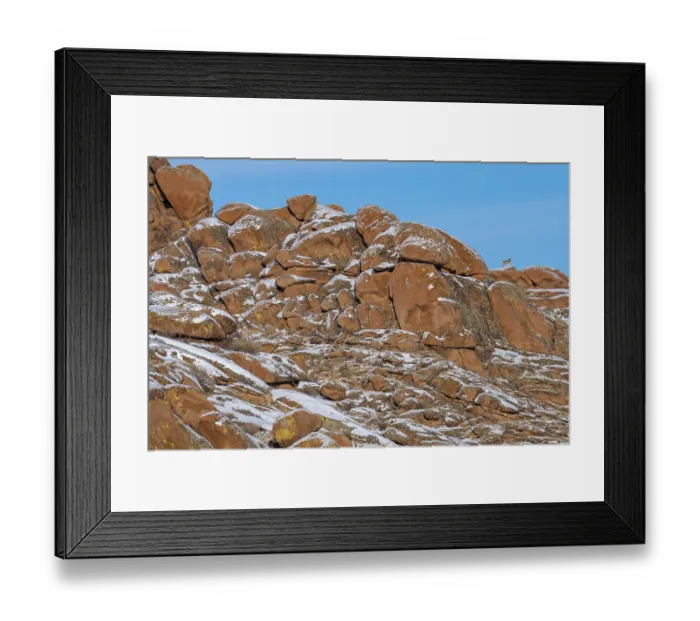 Framed Print : Mongolian wolf (Canis lupus chanco) male, standing on lookout on the red granite hills of the Margaz Mountains, Western Mongolia Framed Print : Mongolian wolf (Canis lupus chanco) male, standing on lookout on the red granite hills of the Margaz Mountains, Western Mongolia