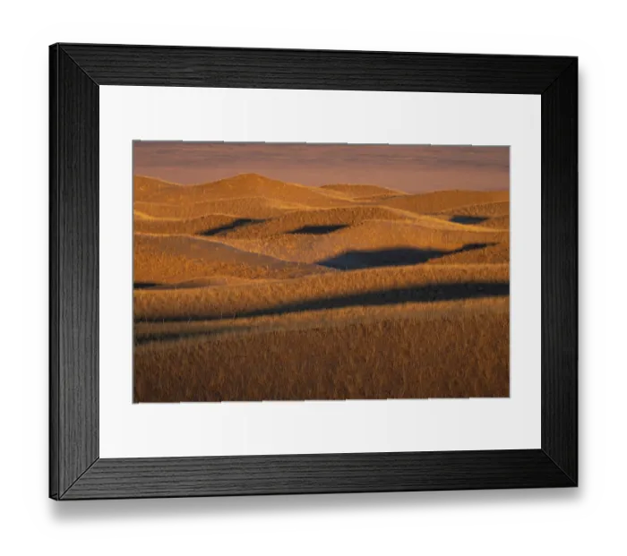 Framed Print : Grass covered sand dunes in the semi desert near the Margaz Mountains, Western Mongolia. November, 2024 Framed Print : Grass covered sand dunes in the semi desert near the Margaz Mountains, Western Mongolia. November, 2024