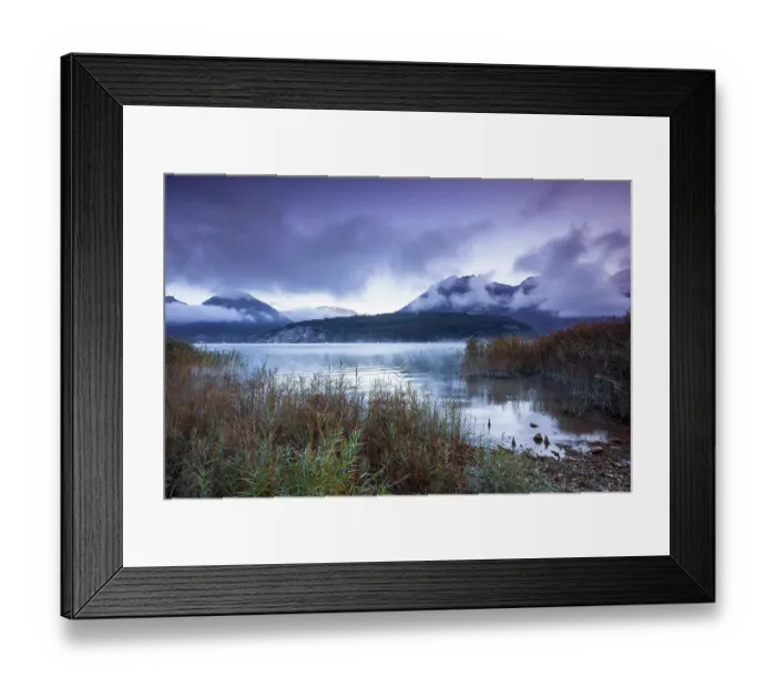 Framed Print : Misty sunrise over the Saint-Jorioz reed beds at Lake Annecy, Natura 2000 site, Regional Natural Park of the Bauges, Massif des Bauges, Haute-Savoie, France Framed Print : Misty sunrise over the Saint-Jorioz reed beds at Lake Annecy, Natura 2000 site, Regional Natural Park of the Bauges, Massif des Bauges, Haute-Savoie, France