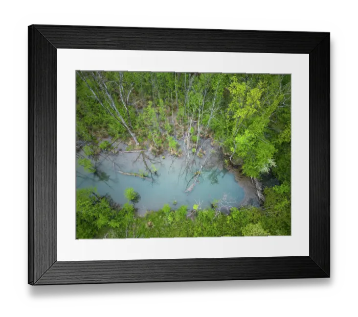Framed Print : Aerial view of a European beaver (Castor fiber) dam and a flooded area in forest, Isere, Alps, France. April Framed Print : Aerial view of a European beaver (Castor fiber) dam and a flooded area in forest, Isere, Alps, France. April
