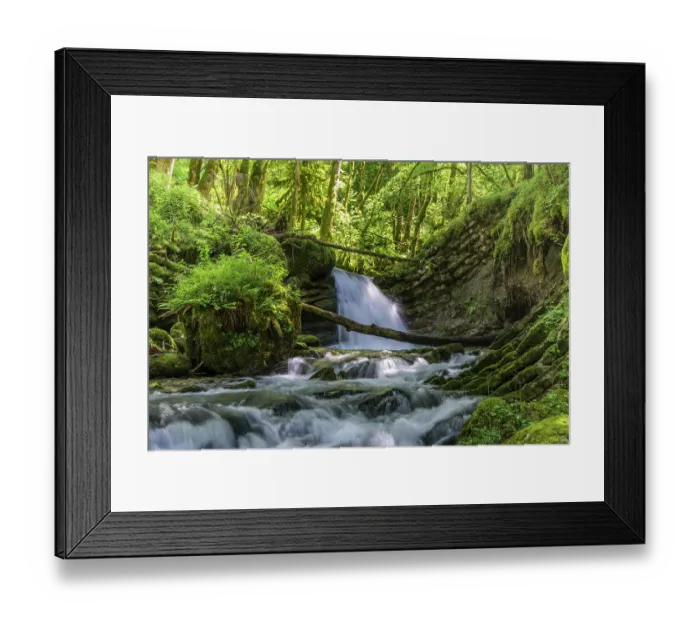 Framed Print : Waterfall on Guiers vif river, Hauts de Chartreuse National Nature Reserve, Alps, Isere, France. July, 2024 Framed Print : Waterfall on Guiers vif river, Hauts de Chartreuse National Nature Reserve, Alps, Isere, France. July, 2024