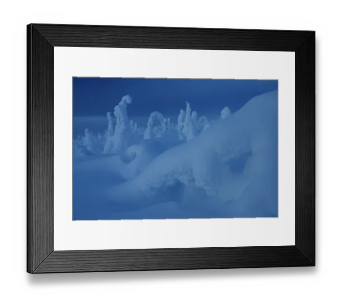 Framed Print : Frozen, snow-covered trees, Riisitunturi National Park, Finland. January, 2024 Framed Print : Frozen, snow-covered trees, Riisitunturi National Park, Finland. January, 2024