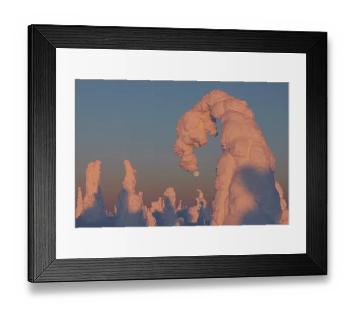 Framed Print : RF - Full moon over frozen, snow-covered forest, Riisitunturi National Park, Finland. January, 2024. (This image may be licensed either as rights managed or royalty free.) Framed Print : RF - Full moon over frozen, snow-covered forest, Riisitunturi National Park, Finland. January, 2024. (This image may be licensed either as rights managed or royalty free.)