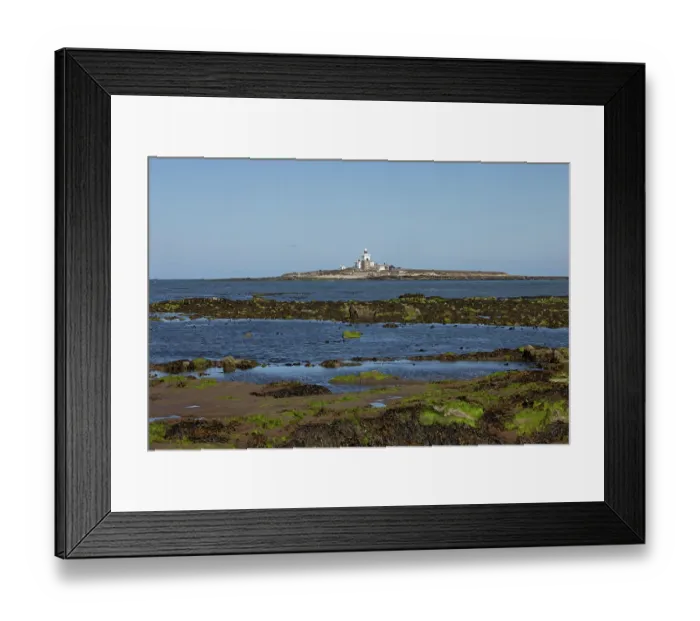 Framed Print : Coquet Island Northumberland GB UK August 2022 Framed Print : Coquet Island Northumberland GB UK August 2022