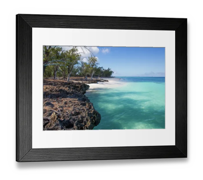 Framed Print : View along the coast and beach with casurina trees, Aldabra Atoll, Seychelles, Indian Ocean. November, 2017 Framed Print : View along the coast and beach with casurina trees, Aldabra Atoll, Seychelles, Indian Ocean. November, 2017