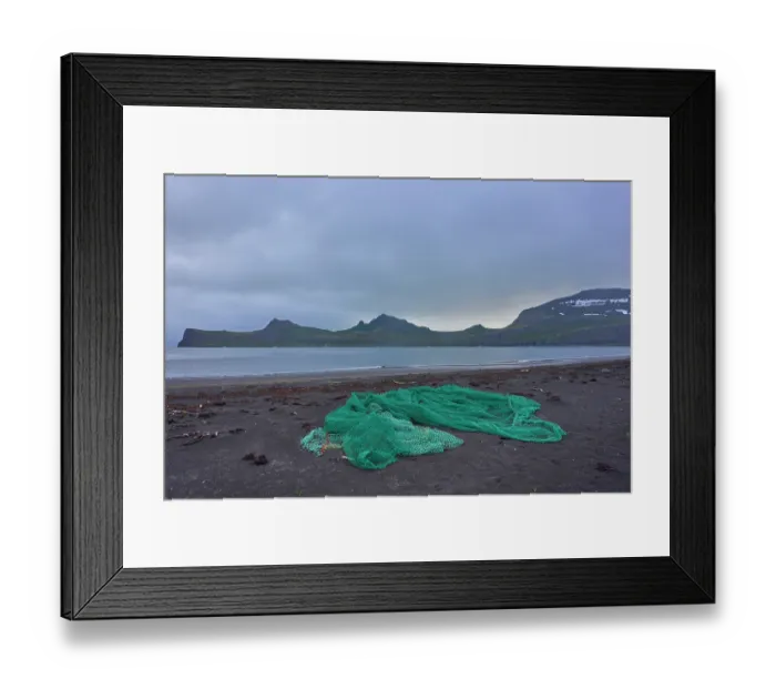 Framed Print : Ghost fishing net washed up on black volcanic sand beach. Hornvik, Hornstrandir Nature Reserve, Iceland. July, 2024 Framed Print : Ghost fishing net washed up on black volcanic sand beach. Hornvik, Hornstrandir Nature Reserve, Iceland. July, 2024