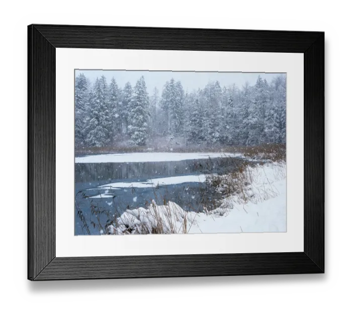 Framed Print : Snowfall over pond and forest, Upper Bavaria, Germany. February, 2023 Framed Print : Snowfall over pond and forest, Upper Bavaria, Germany. February, 2023