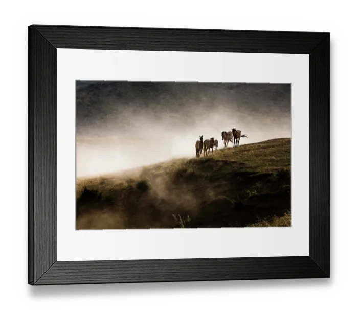 Framed Print : Przewalski's horses (Equus ferus przewalskii) herd on a clifftop, Hustai National Park, Mongolia. Endangered Framed Print : Przewalski's horses (Equus ferus przewalskii) herd on a clifftop, Hustai National Park, Mongolia. Endangered