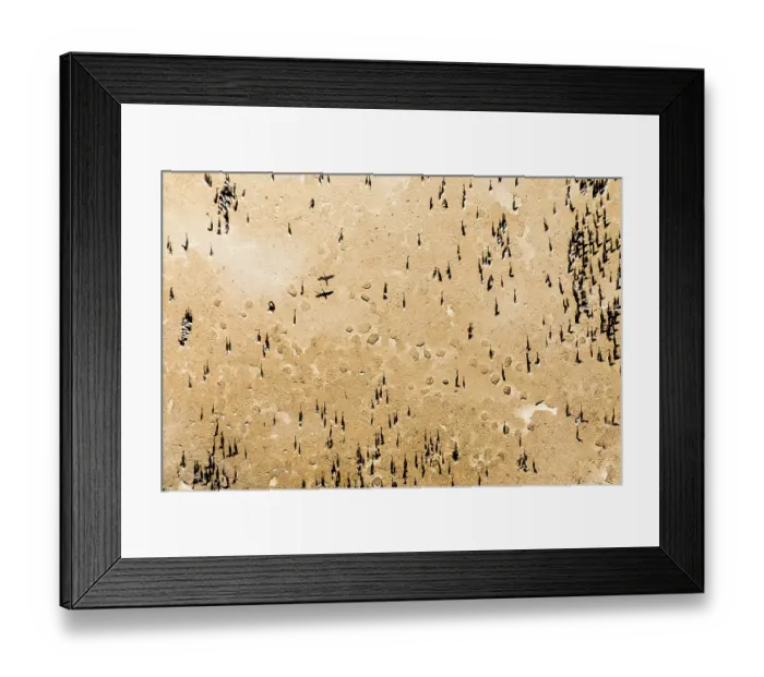 Framed Print : Aerial view of Socotra cormorants (Phalacrocorax nigrogularis) breeding colony, Rubud Al Sharqiyah, Bahrain Framed Print : Aerial view of Socotra cormorants (Phalacrocorax nigrogularis) breeding colony, Rubud Al Sharqiyah, Bahrain