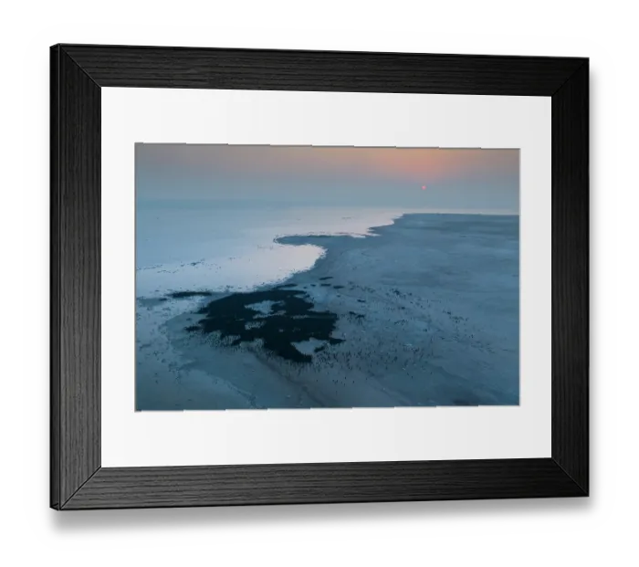 Framed Print : Aerial view of Socotra cormorants (Phalacrocorax nigrogularis) colony at sunrise, Rubud Al Sharqiyah, Bahrain Framed Print : Aerial view of Socotra cormorants (Phalacrocorax nigrogularis) colony at sunrise, Rubud Al Sharqiyah, Bahrain