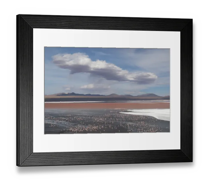 Framed Print : Andean flamingos (Phoenicoparrus andinus) huge flock congregating at Laguna Colorada, Eduardo Avaroa Andean Fauna National Reserve, Bolivia Framed Print : Andean flamingos (Phoenicoparrus andinus) huge flock congregating at Laguna Colorada, Eduardo Avaroa Andean Fauna National Reserve, Bolivia