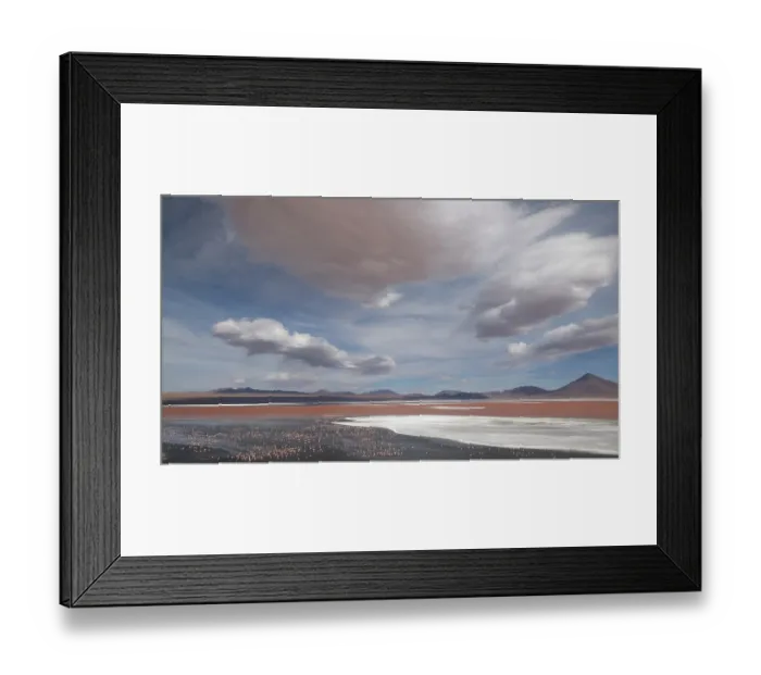 Framed Print : Andean flamingos (Phoenicoparrus andinus) huge flock congregating at Laguna Colorada, Eduardo Avaroa Andean Fauna National Reserve, Bolivia Framed Print : Andean flamingos (Phoenicoparrus andinus) huge flock congregating at Laguna Colorada, Eduardo Avaroa Andean Fauna National Reserve, Bolivia