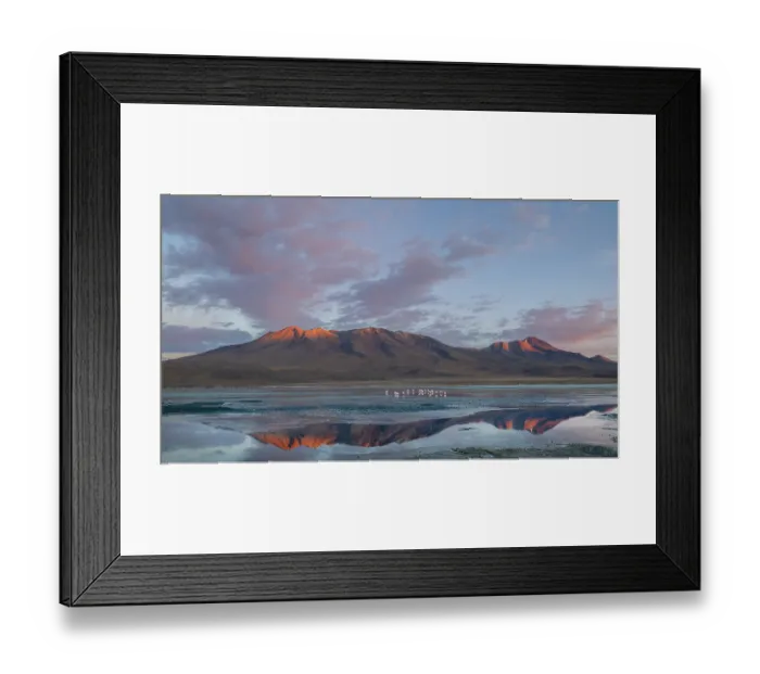 Framed Print : Sunrise over Laguna Hedionda with reflection of mountains, Altiplano, Potosi, Bolivia. September, 2024 Framed Print : Sunrise over Laguna Hedionda with reflection of mountains, Altiplano, Potosi, Bolivia. September, 2024