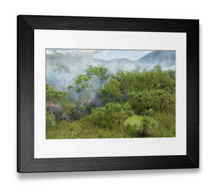 Framed Print : Drone view of a wet season fuel reduction burn taking place on a privately owned conservation property, Adelaide River Hills, Northern Territory, Australia. January, 2025 Framed Print : Drone view of a wet season fuel reduction burn taking place on a privately owned conservation property, Adelaide River Hills, Northern Territory, Australia. January, 2025
