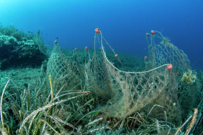 Framed Print : Abandoned fishing net drifting over seabed, Komiza, Vis Island, Croatia, Adriatic Sea Framed Print : Abandoned fishing net drifting over seabed, Komiza, Vis Island, Croatia, Adriatic Sea