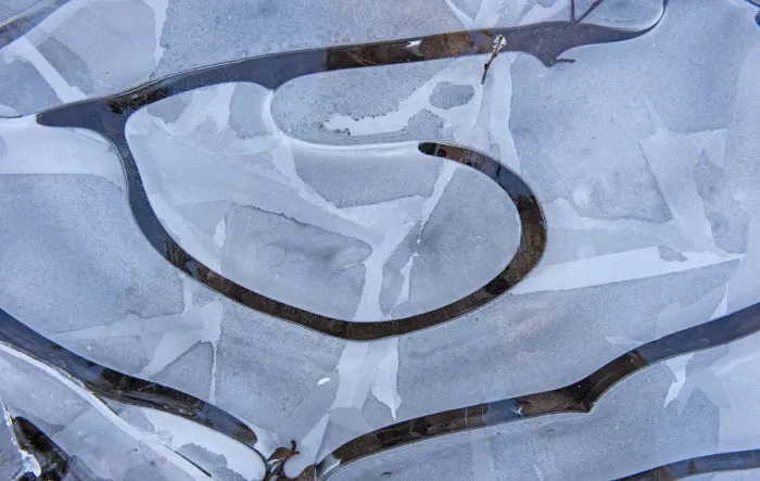 Framed Print : Abstract ice pattern, Klein Schietveld, Brasschaat, Belgium, January Framed Print : Abstract ice pattern, Klein Schietveld, Brasschaat, Belgium, January