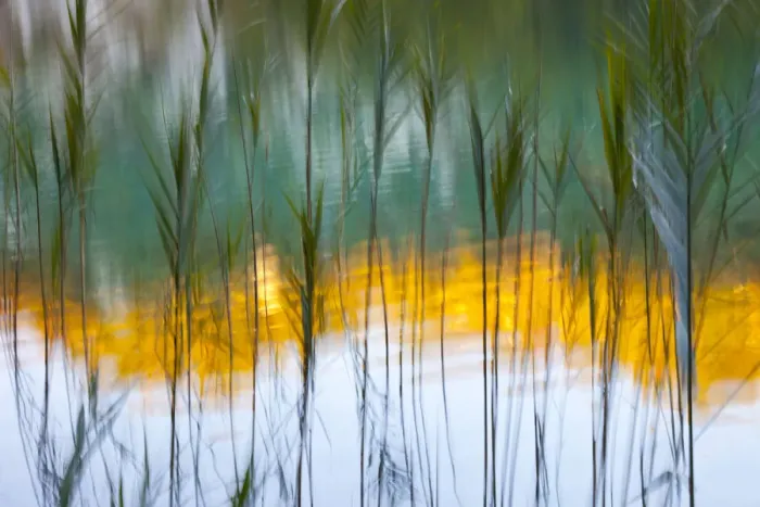 Framed Print : Abstract of reeds in front of lake with reflections, Plitvice Lakes National Park Framed Print : Abstract of reeds in front of lake with reflections, Plitvice Lakes National Park