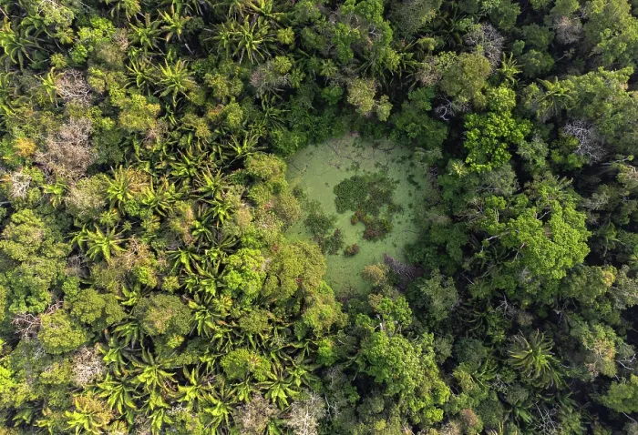 Framed Print : Aerial view of 'Aguada' (depressions capable of holding water through the dry season) in forest in Mayan Biosphere Reserve, Peten, Guatemala. April, 2024