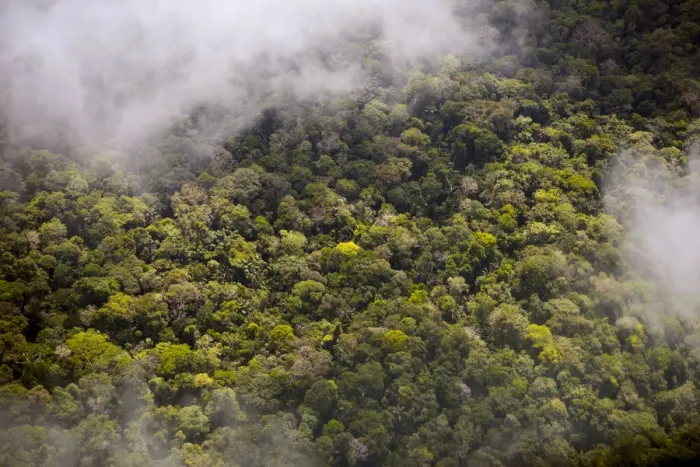 Framed Print : Aerial view of Amazon Rainforest, Peru, July 2015 Framed Print : Aerial view of Amazon Rainforest, Peru, July 2015