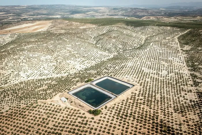 Framed Print : Aerial view of artificial water ponds (dangerous for wildlife) among intensive olive tree plantations, Jaen district, southern Spain. October, 2023 Framed Print : Aerial view of artificial water ponds (dangerous for wildlife) among intensive olive tree plantations, Jaen district, southern Spain. October, 2023