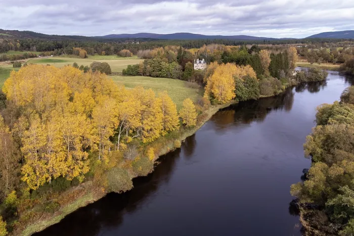 Framed Print : Aerial view of Aspen stand (Populus tremula) in autumn, alongside the River Spey, Cairngorms National Park, Scotland, UK. October Framed Print : Aerial view of Aspen stand (Populus tremula) in autumn, alongside the River Spey, Cairngorms National Park, Scotland, UK. October