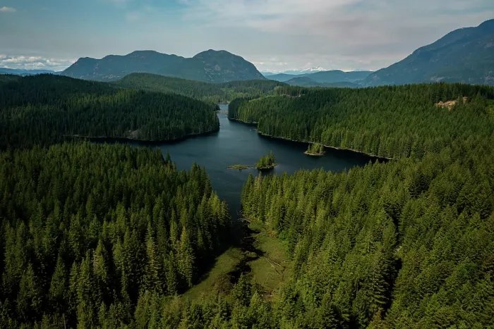 Framed Print : Aerial view of Cedar Lake surrounded by forest with mountains in background, Vancouver Island, British Columbia, Canada. May, 2023 Framed Print : Aerial view of Cedar Lake surrounded by forest with mountains in background, Vancouver Island, British Columbia, Canada. May, 2023