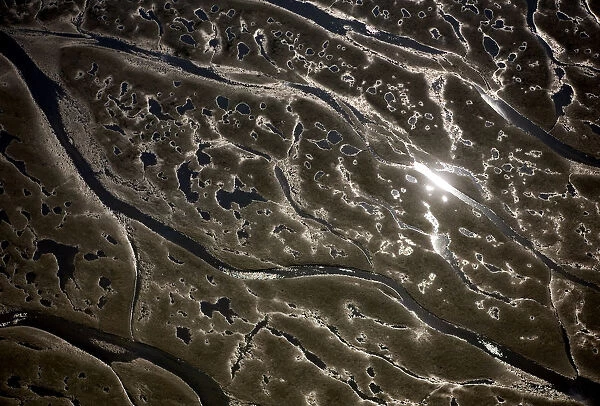 Aerial view of channels and pools left in sand at low tide, Hallig, Germany, April 2009